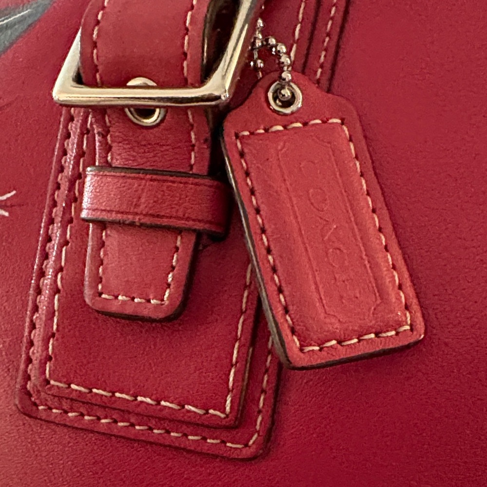Coach Red Floral Leather Shoulder Bag Customized design by Artist Schatz. - Picture 2 of 9